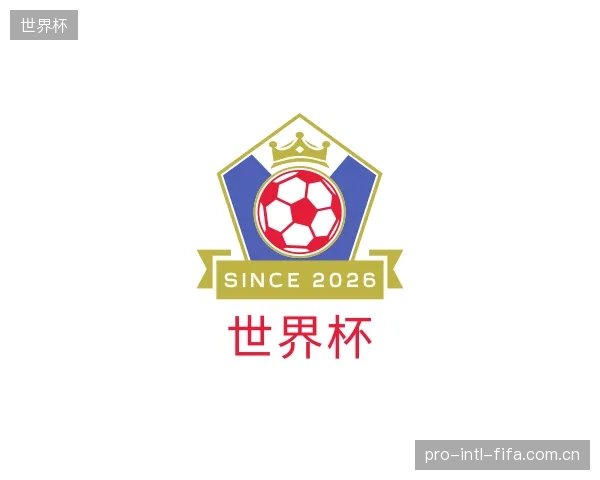 了解世界杯团队